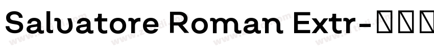Salvatore Roman Extr字体转换